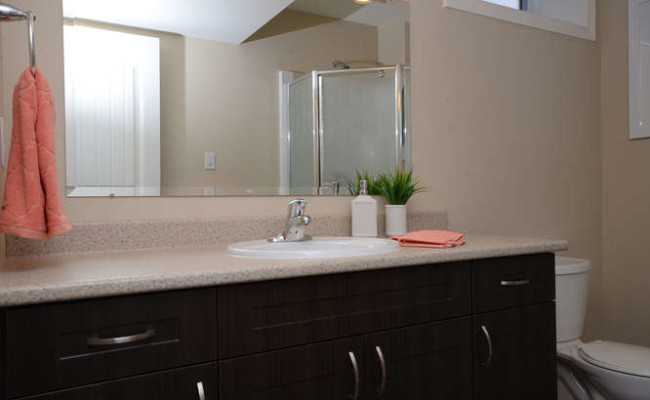 Tackaberry Ridge Model Home by-small-021-LowerLevel Bath-666×442-72dpi
